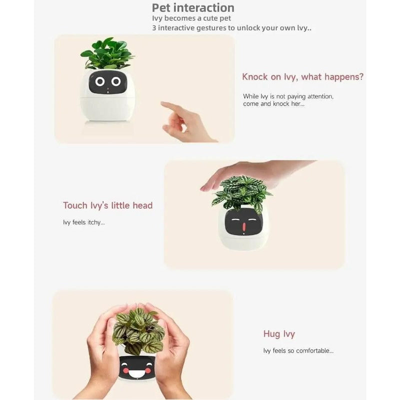 Pote Inteligente Para Planta Pequeno De Flores Ivy Desktop Green Plant Permite Suas Plantas Expressar Emoções